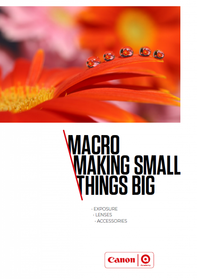 Macro Photography
